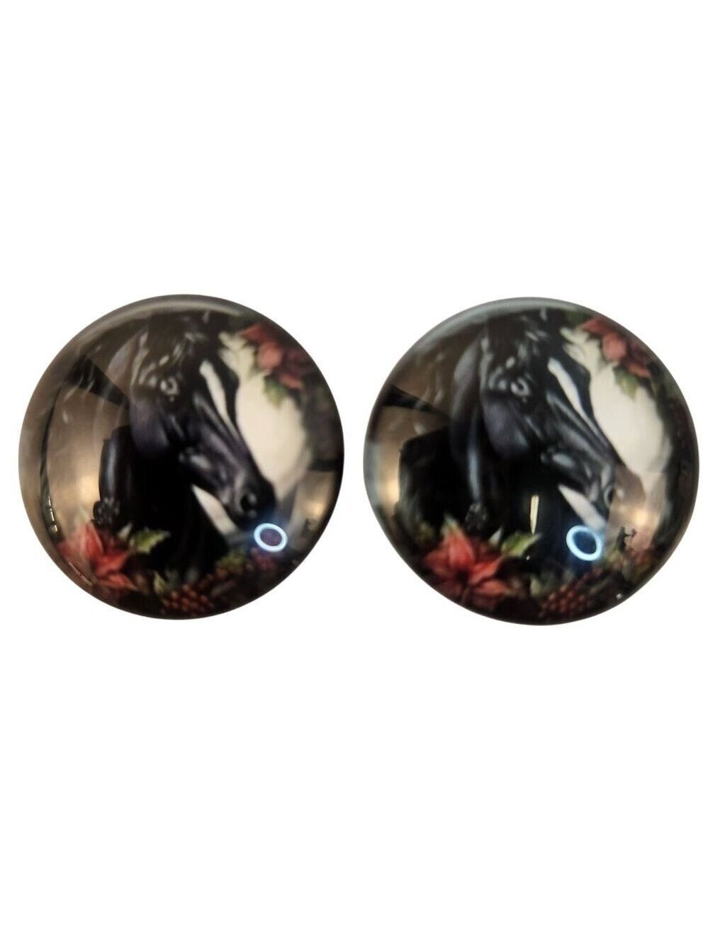 Set of 2 Black Horse Glass Cabochons 1 Inch Round, Floral Dome Craft Supply for